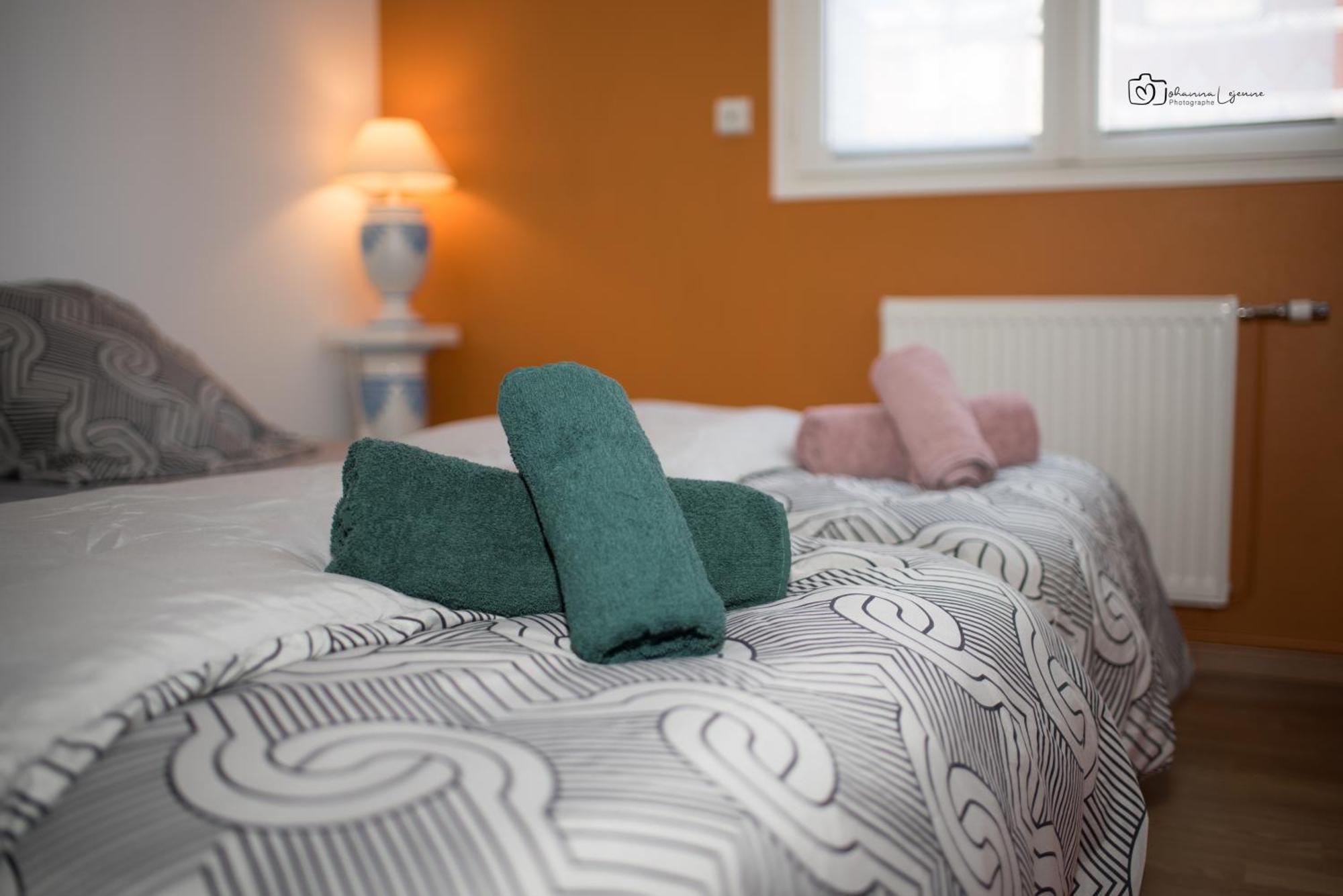 Appartement Au Rez-De-Chaussee Nichee En Plein Centre D'Arras Dış mekan fotoğraf